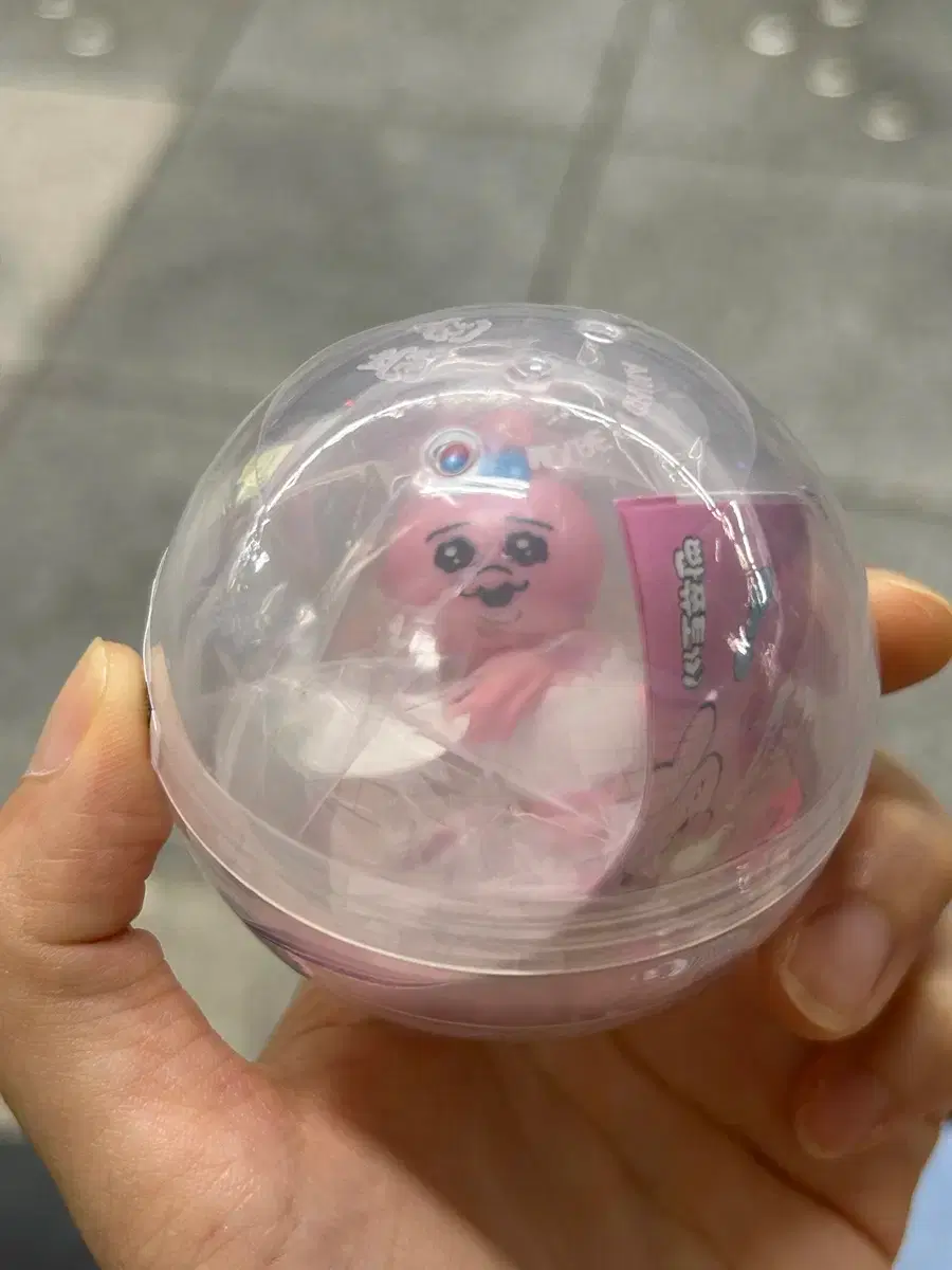 토끼 도난 당한 '129cm' 살아있는 최장신 토끼“돌려주세요”